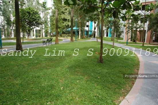 Blk 320C Anchorvale Drive (Sengkang), HDB Executive #140481362